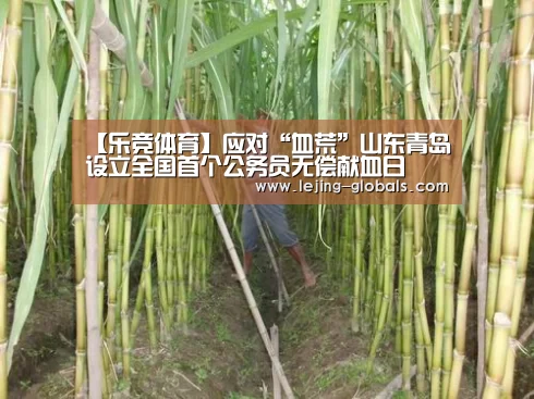 乐竞体育官网