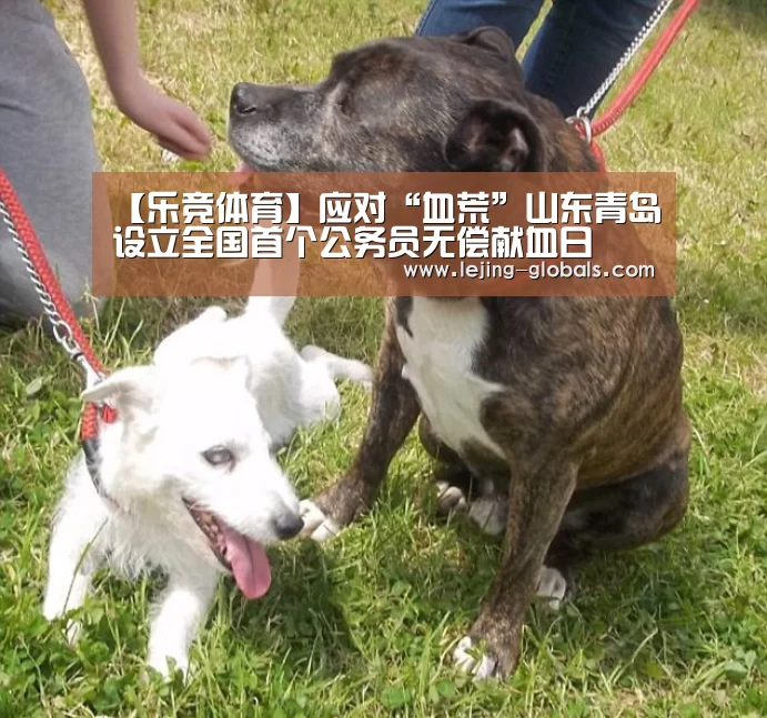 乐竞体育app