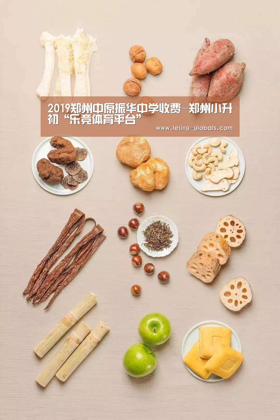 2019郑州中原振华中学收费-郑州小升初“乐竞体育平台”(图2) 乐竞体育平台